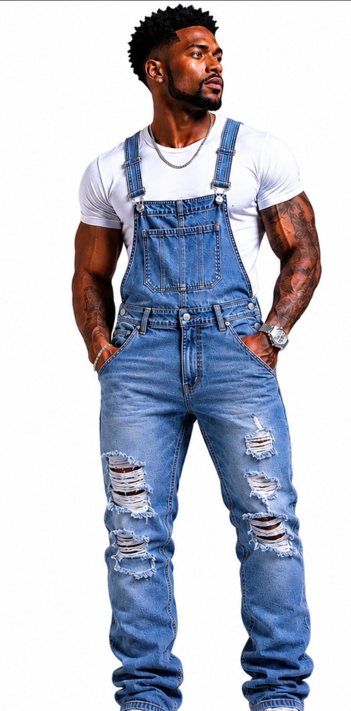 Skinny Diatressed Denim Overall  $90